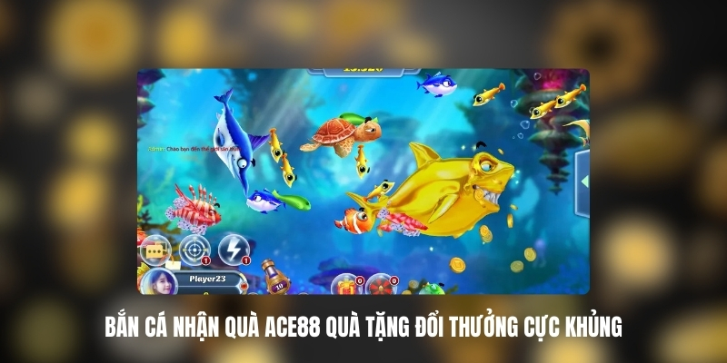 ban ca nhan qua ace88 1